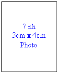 Text Box: Ảnh
3cm x 4cm
Photo
